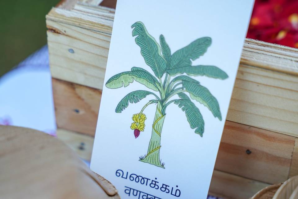Dream Decor Events portfolio