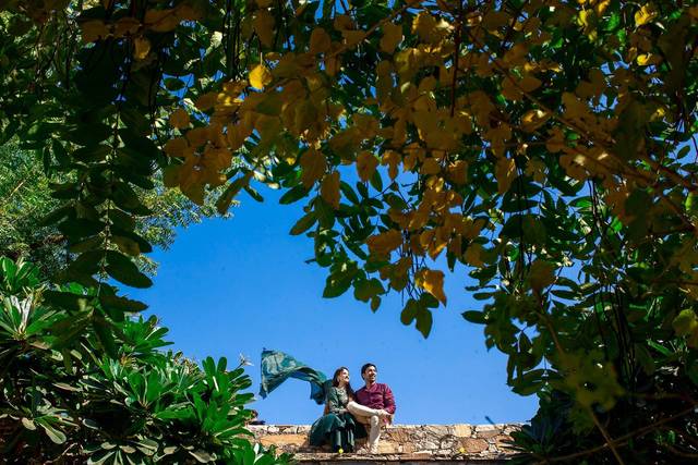 Studio Vision, Rohini