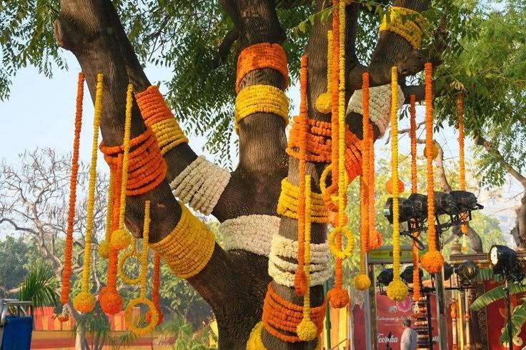 Haldi decor