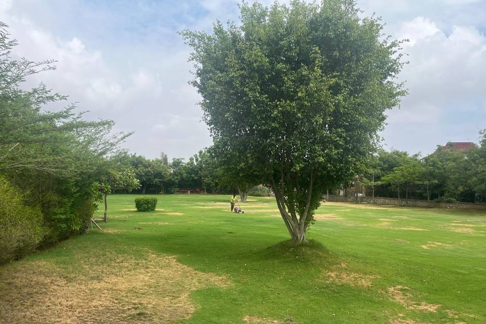 Lawn area