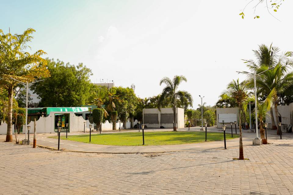 Lawn area