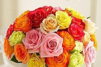 Ferns N Petals - Florist & Gift Shop, Vigyan Vihar
