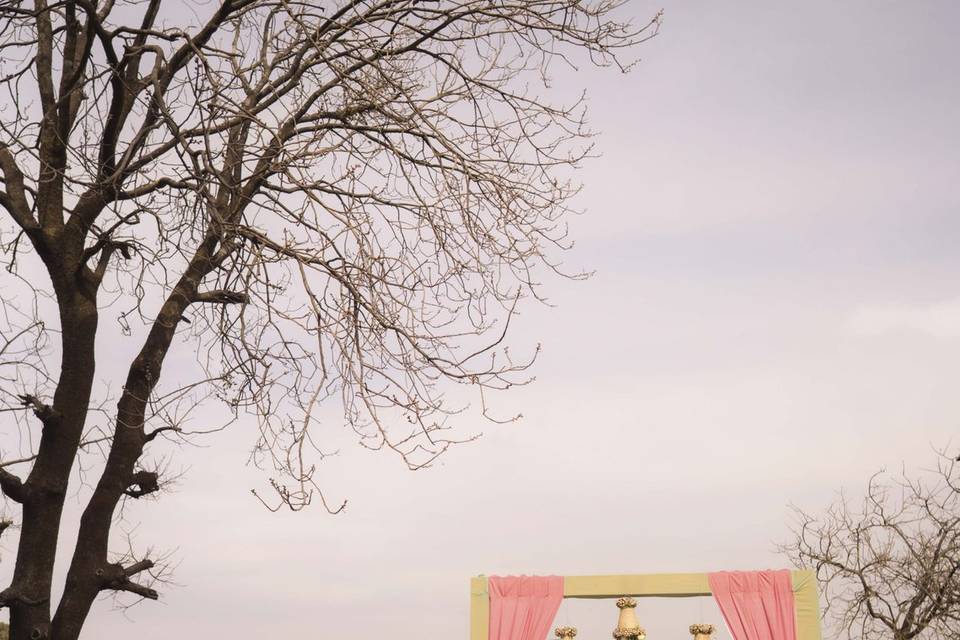 Smart Clicks & Cinematography