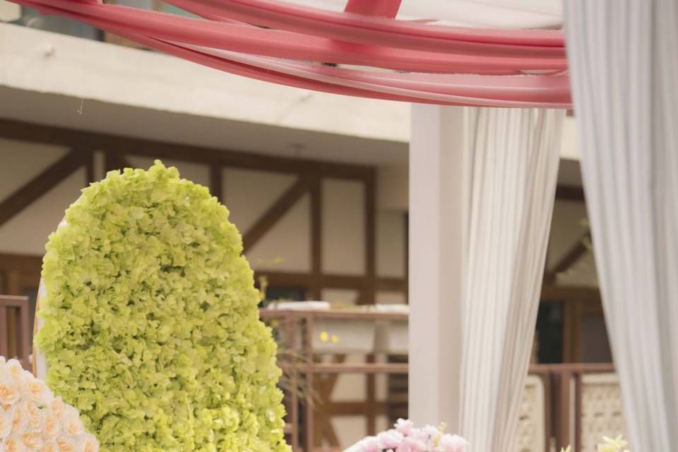 Smart Clicks & Cinematography