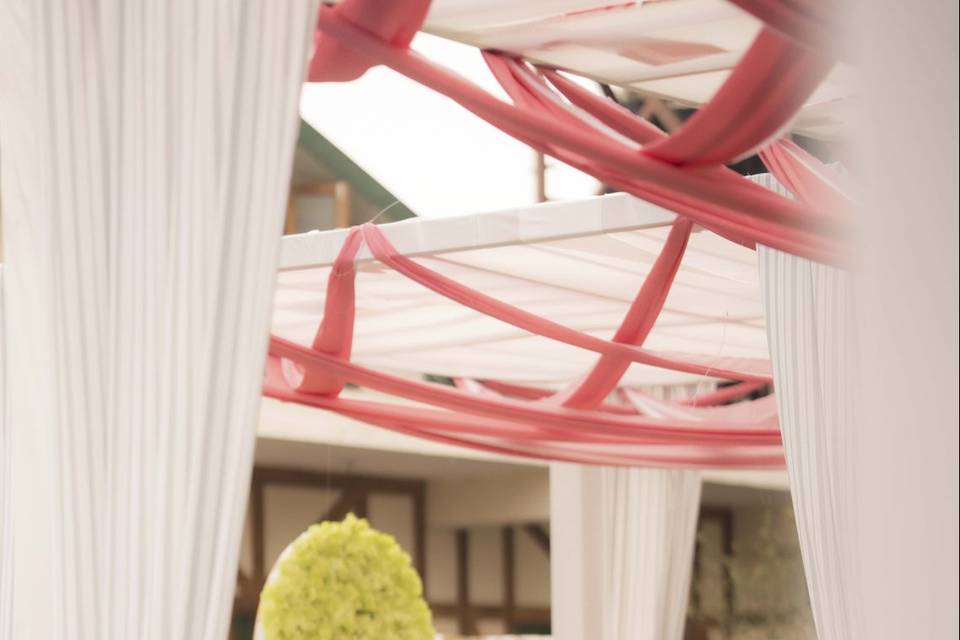 Smart Clicks & Cinematography