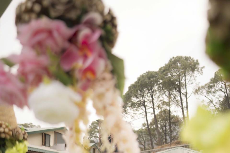 Smart Clicks & Cinematography