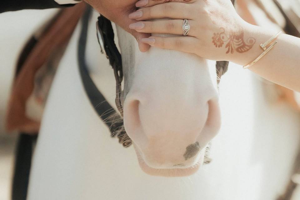 Smart Clicks & Cinematography