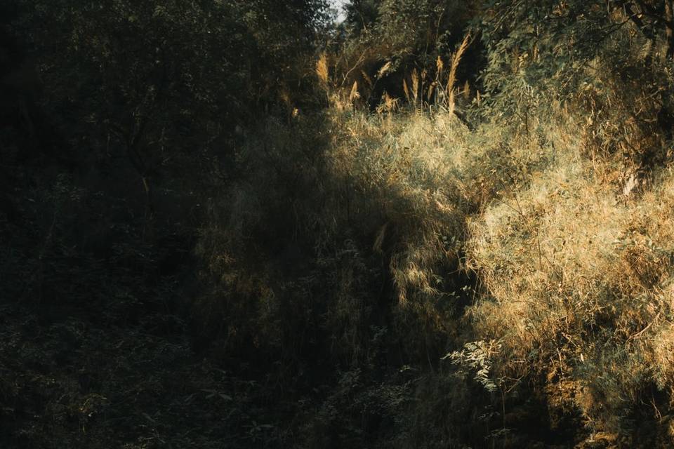 Smart Clicks & Cinematography