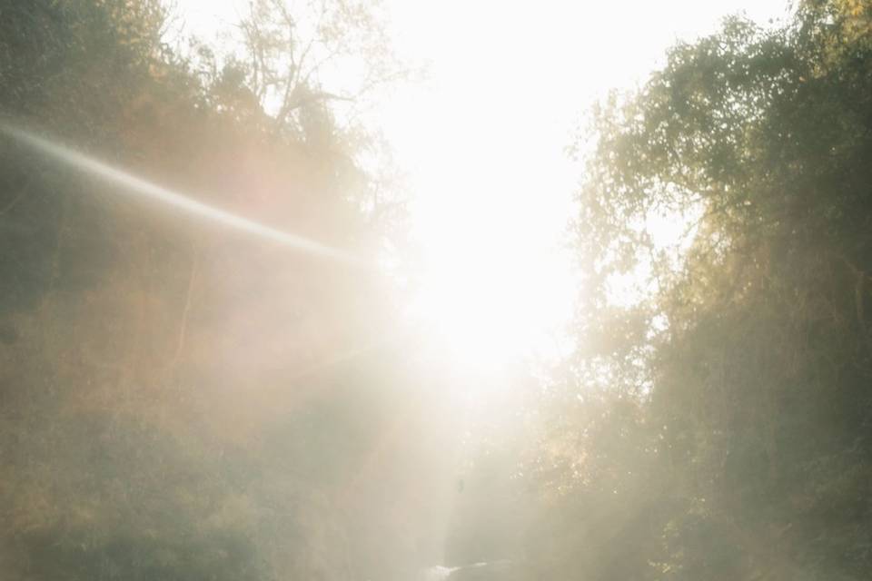 Smart Clicks & Cinematography