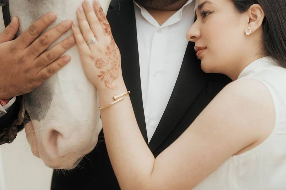 Smart Clicks & Cinematography