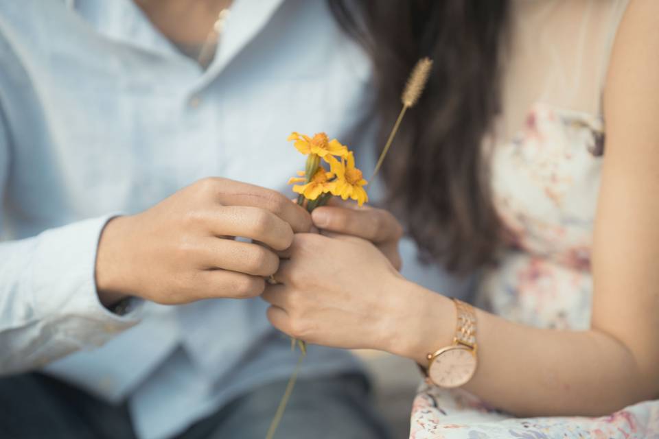 Smart Clicks & Cinematography