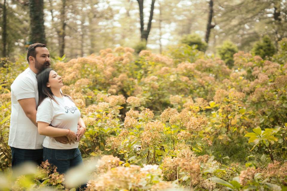 Smart Clicks & Cinematography