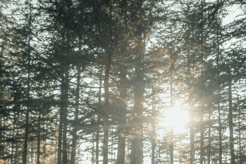 Smart Clicks & Cinematography