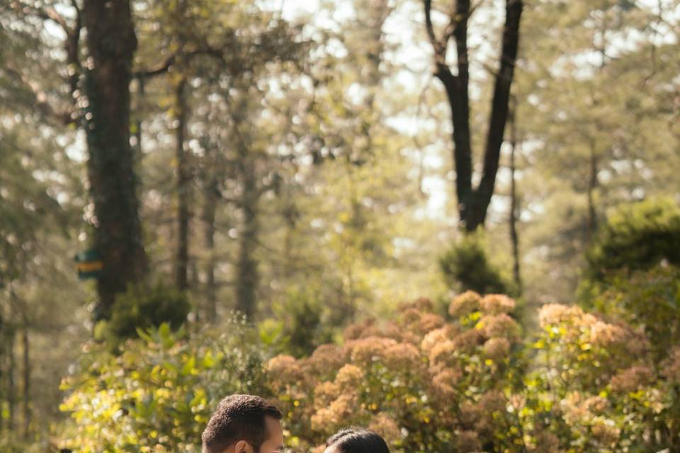 Smart Clicks & Cinematography