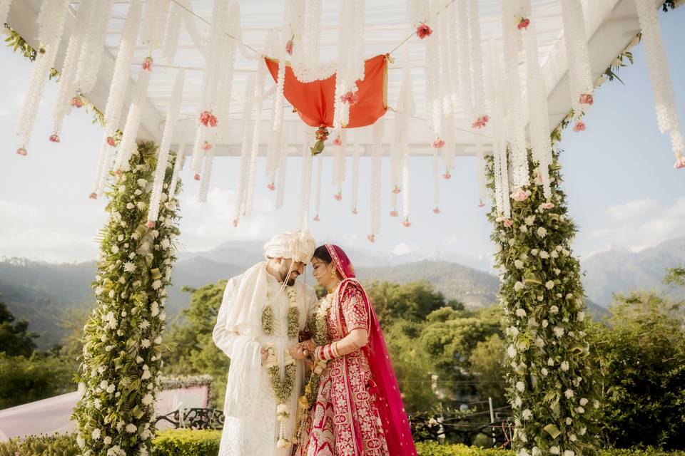 Smart Clicks & Cinematography