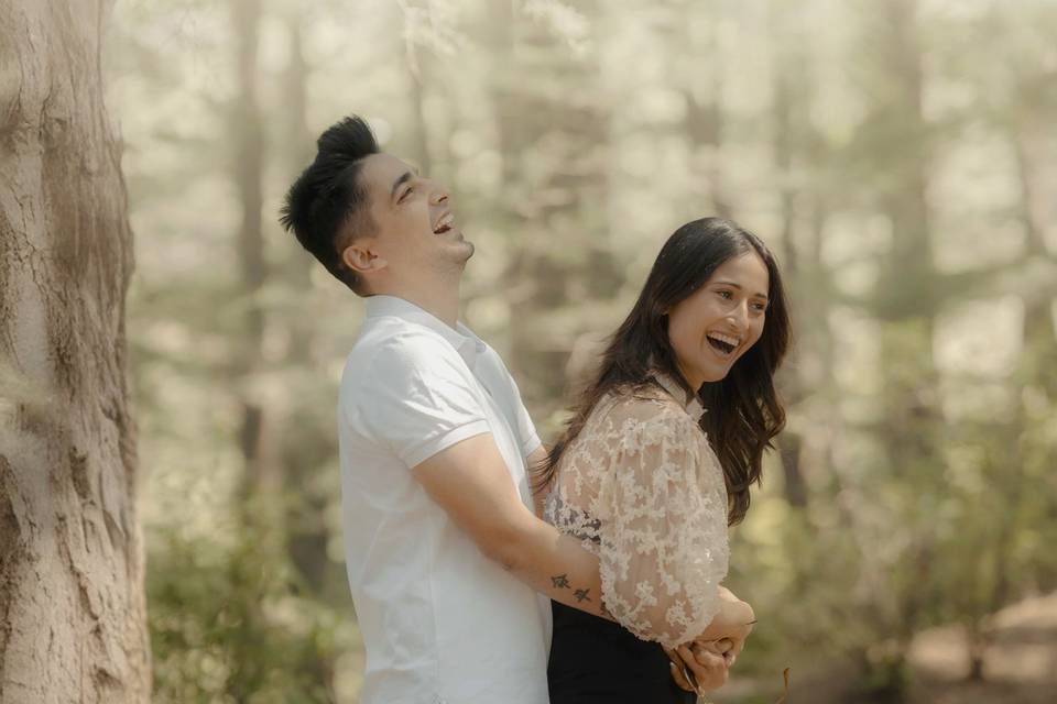 Smart Clicks & Cinematography