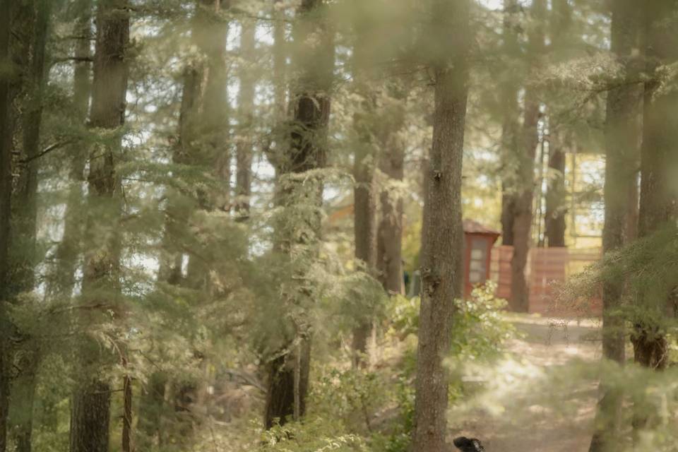 Smart Clicks & Cinematography