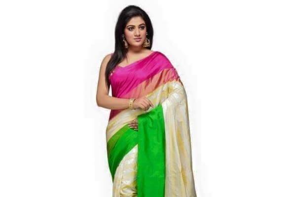 Pure ikat silk saree