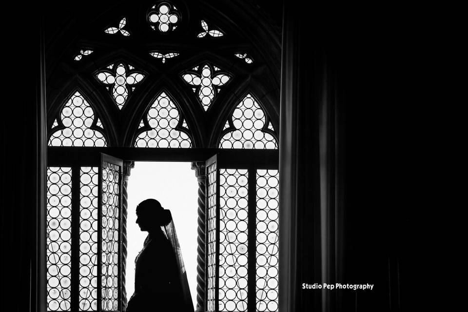 Silhouette Bridal Portrait