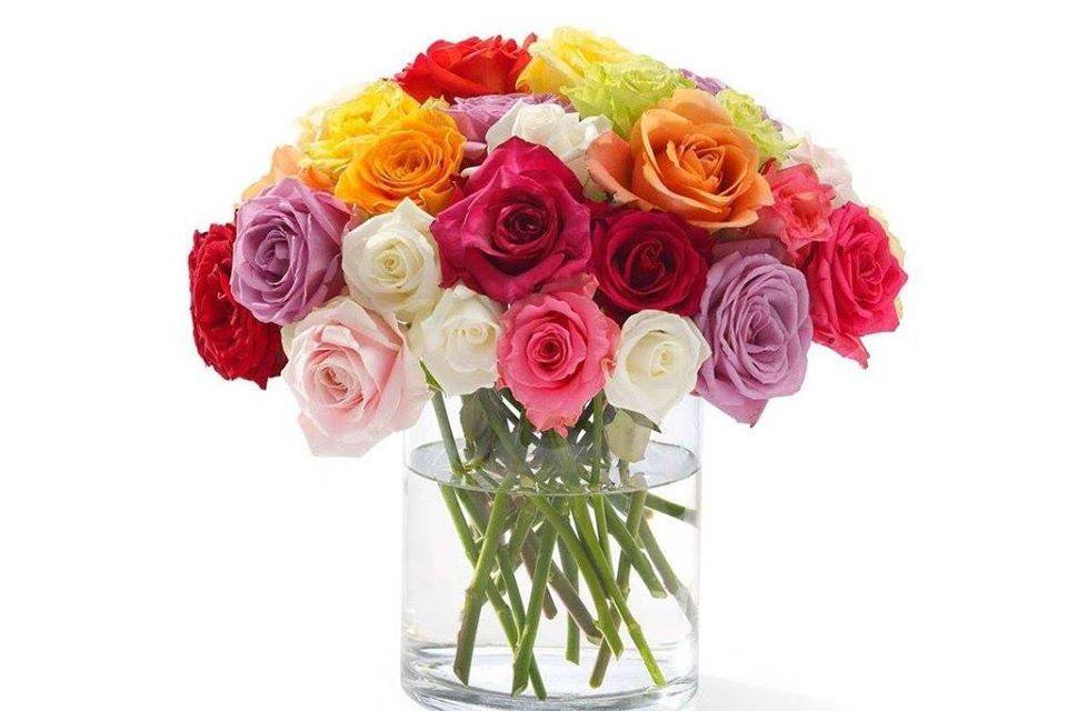 Ferns N Petals - Florist & Gift Shop, Ramdaspeth