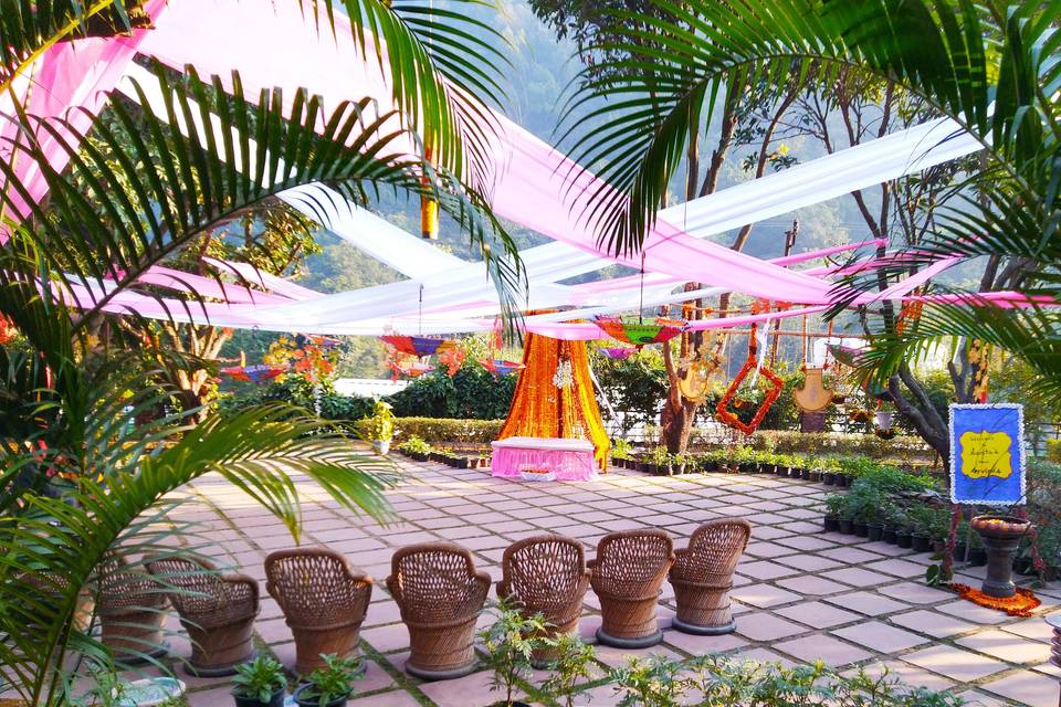 Haldi Setup