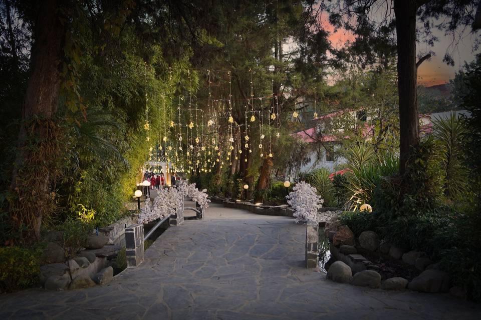 Outdoor Decor