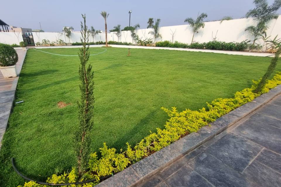 Lawn area