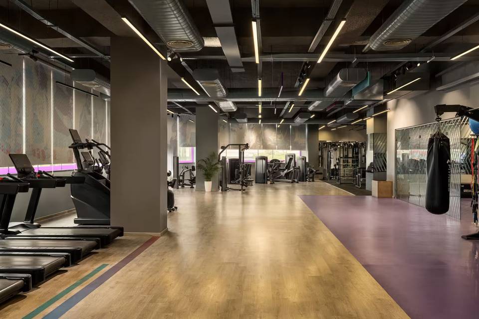 Gymnasium