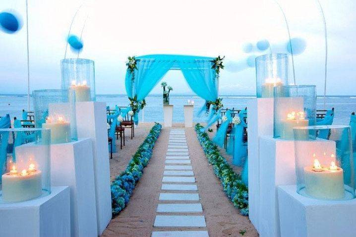 Dolphin Events and Wedding Planner