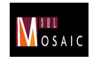 Mosaic Hotel Noida