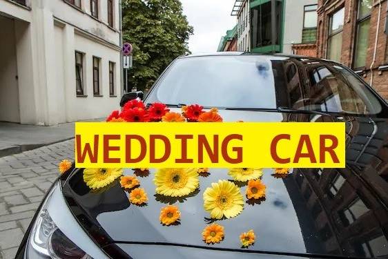 Wedding Car by Arvind Kumar