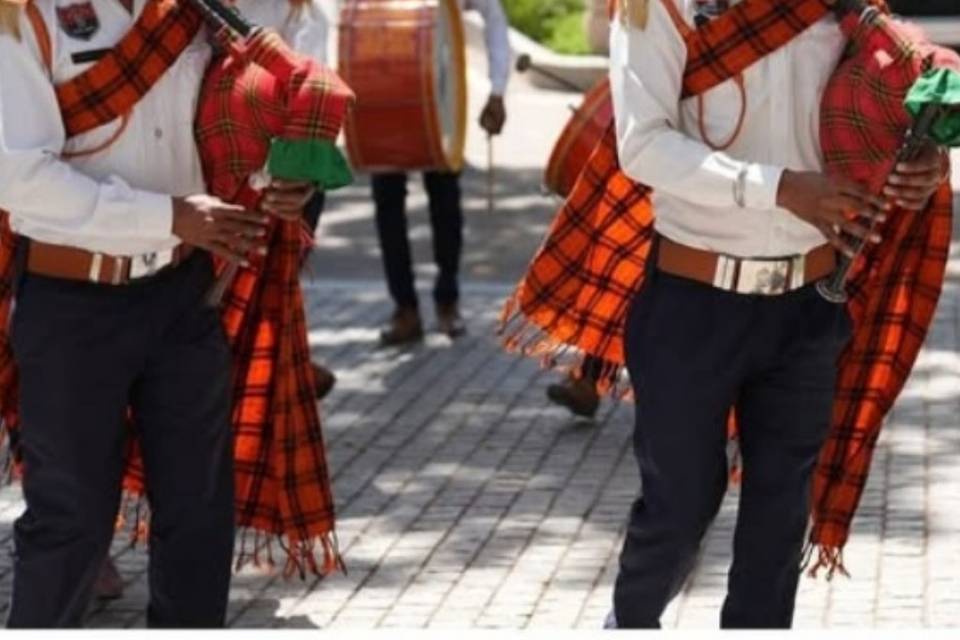 Fouji band