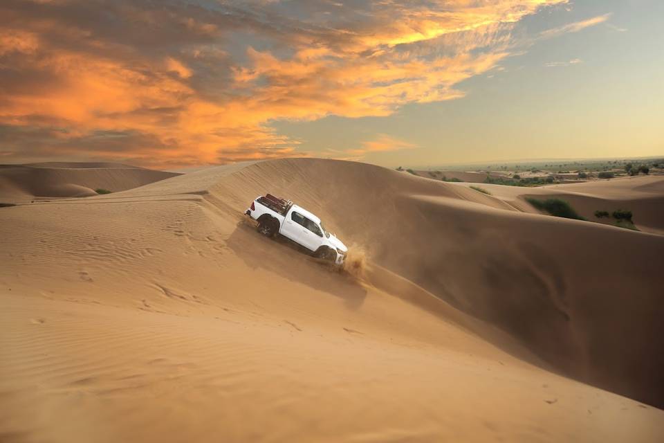 Desert Safari