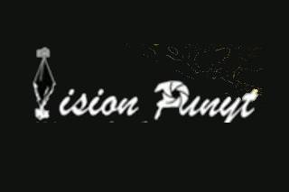 Vision Punyt logo