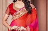 Chal Vanshika Designer Sarees