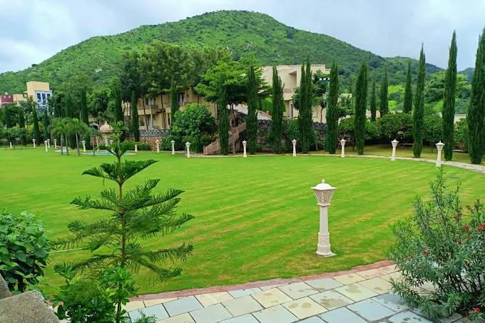 Lawn area