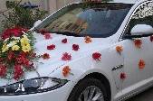 NCR Luxury Cars, Faridabad