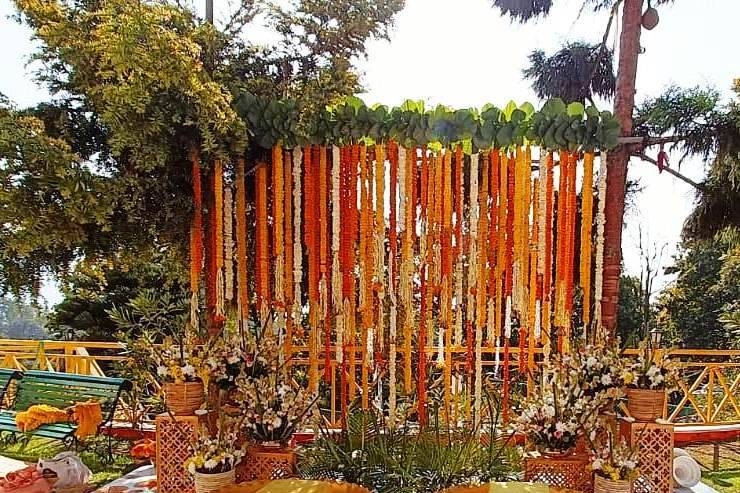 Haldi stage