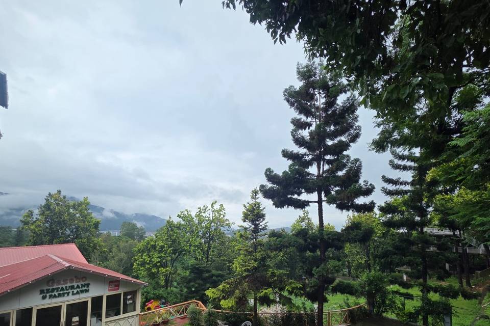 Lawn