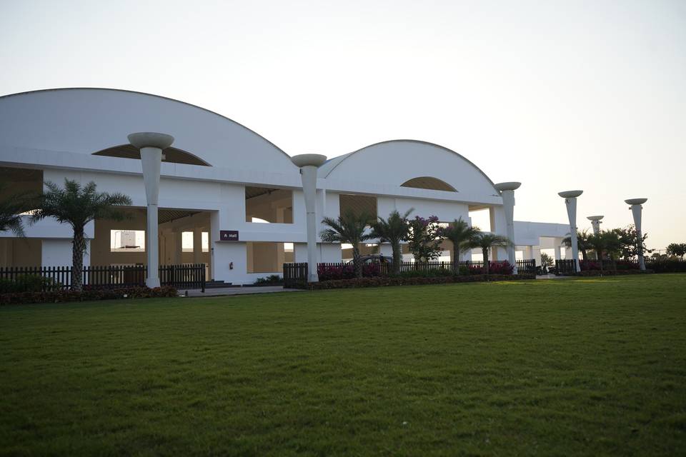 Lawn area