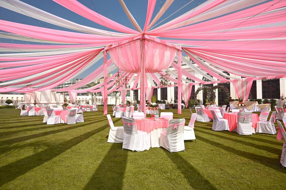 Lawn area
