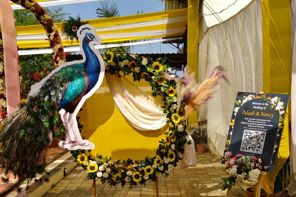 Peacock theme decoration