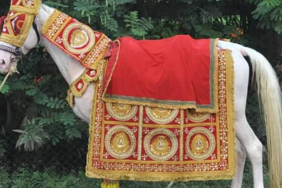 Ghori