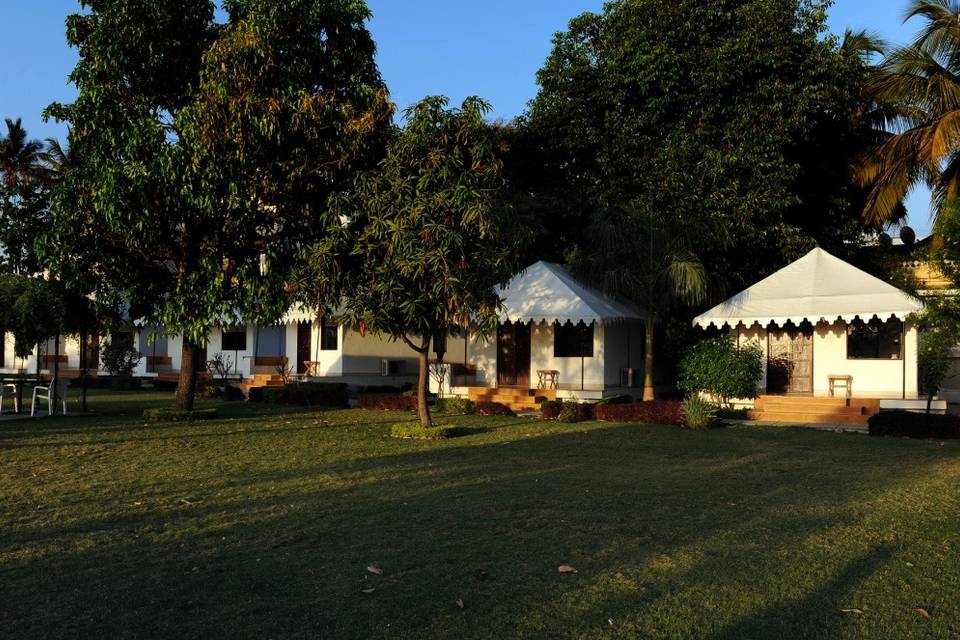 Lawn area