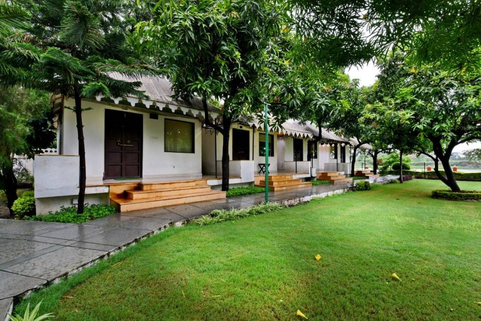 Lawn area