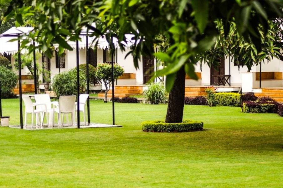 Lawn area