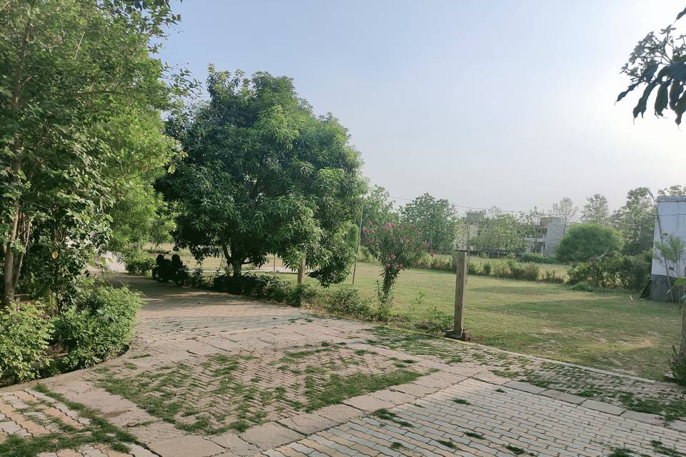 Lawn area