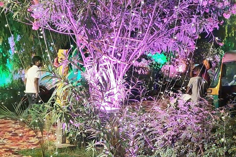 Lawn Decoration