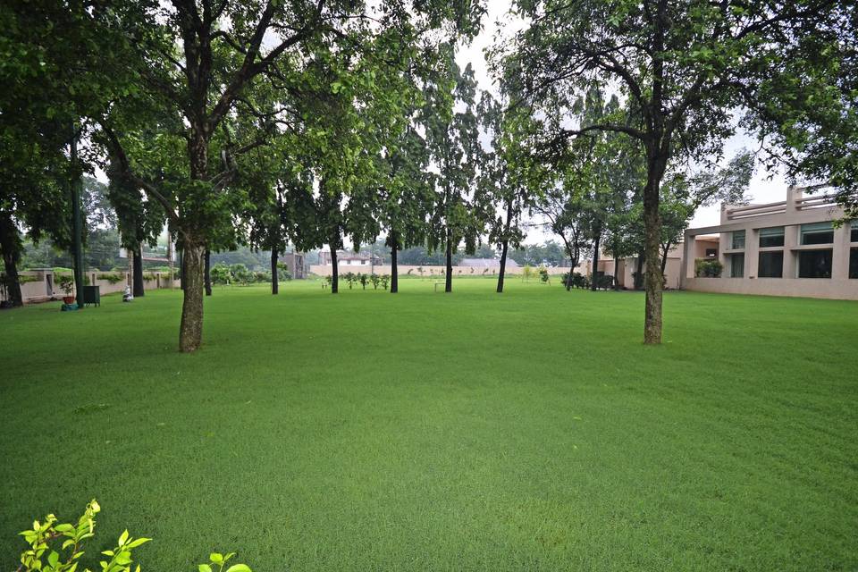 THE LAWN