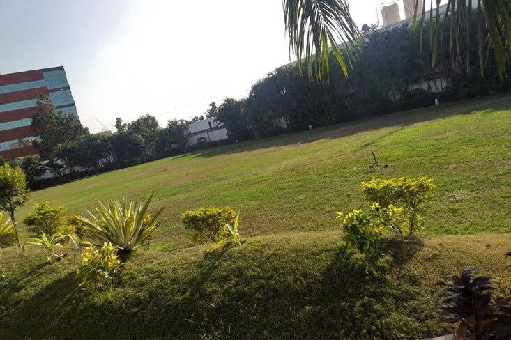 Lawns